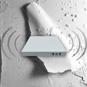 Inverseurs de polarité géomagnétique et électromagnétique