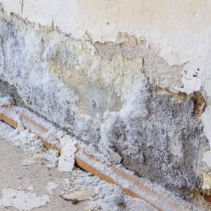 Traitement du salpêtre